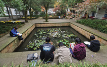 Album / China / Hangzhou / Botanical Garden / Botanical Garden 4