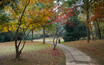 Album / China / Hangzhou / Botanical Garden / Botanical Garden 9