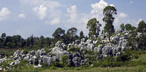 Album / China / Yunnan / Stone Forest / Stone Forest 18