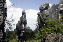 Album / China / Yunnan / Stone Forest / Stone Forest 21
