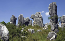 Album / China / Yunnan / Stone Forest / Stone Forest 4