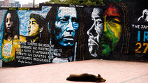 Album / Colombia / Bogota / Graffiti / Graffiti 184