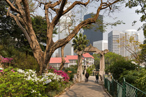 Album / Hong Kong / Volume 3 / Style / Botanic Garden 1