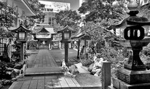 Album / Japan / Fukuoka / Shrine 1