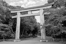 Album / Japan / Fukuoka / Shrine 4