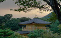 Album / Japan / Kyoto / Golden Pavilion / Golden Pavilion Temple 11