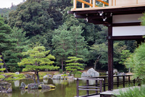 Album / Japan / Kyoto / Golden Pavilion / Golden Pavilion Temple 6