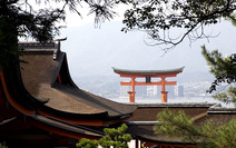 Album / Japan / Miyajima / Itsukushima Shrine