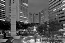Album / Japan / Tokyo / Shinjuku / Buildings 4