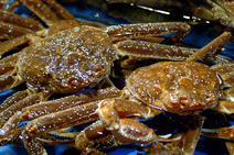 Album / Korea / Seoul / Noryangin Fisheries Makret / Crabs