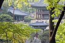 Album / Korea / Seoul / Volume 6 / In a Palace