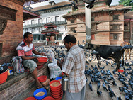 Album / Nepal / Kathmandu / Streets 31