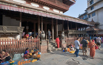 Album / Nepal / Kathmandu / Streets 44