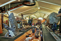 Album / New Zealand / Northland / The Kauri Museum 10