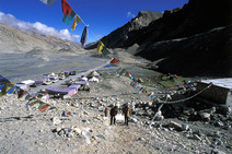 Album / Tibet / Everest Base Camp / Base camp