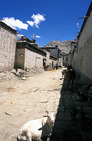 Album / Tibet / Gyantse / Streets 1