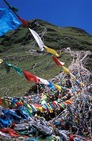 Album / Tibet / Lhasa / Climbing / Climbing 1