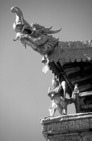 Album / Tibet / Lhasa / Jokhang Temple / Roof 5