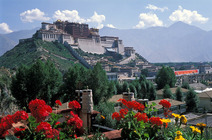 Album / Tibet / Lhasa / Potala / Potala 2