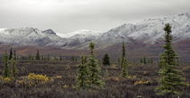 Album / USA / Alaska / Denali National Park 2