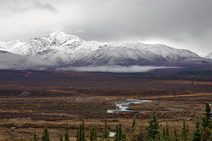 Album / USA / Alaska / Denali National Park 3