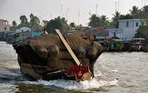 Album / Vietnam / Mekong delta / Cai Be Floating Market 3